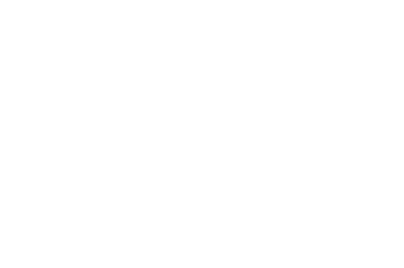 cds-elagage-logo-blanc